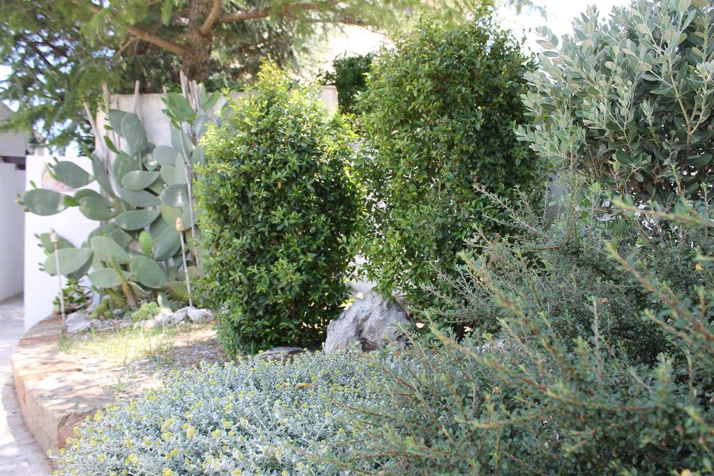 Albachiara Bed & Breakfast Monopoli Exteriör bild