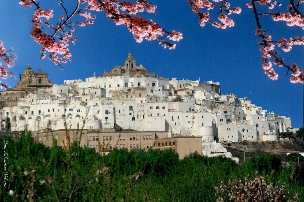 Albachiara Bed & Breakfast Monopoli Exteriör bild