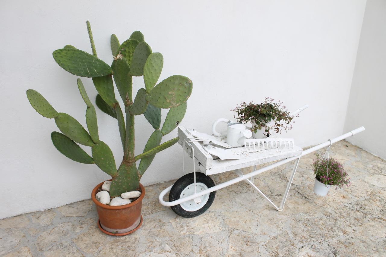 Albachiara Bed & Breakfast Monopoli Exteriör bild
